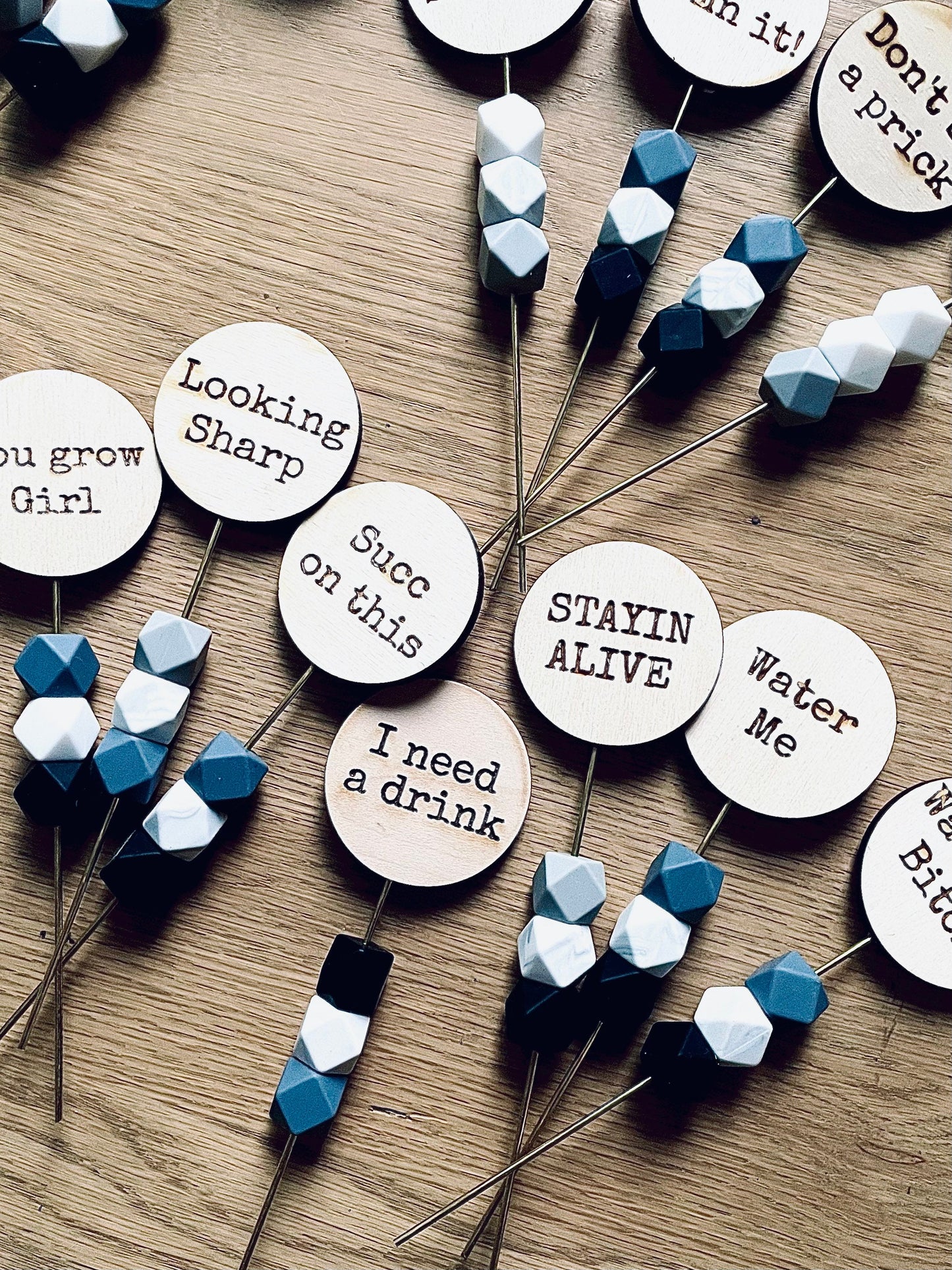 Funny Plant Signs | Plant Lover Gift | Houseplant Decor Tags with Quotes