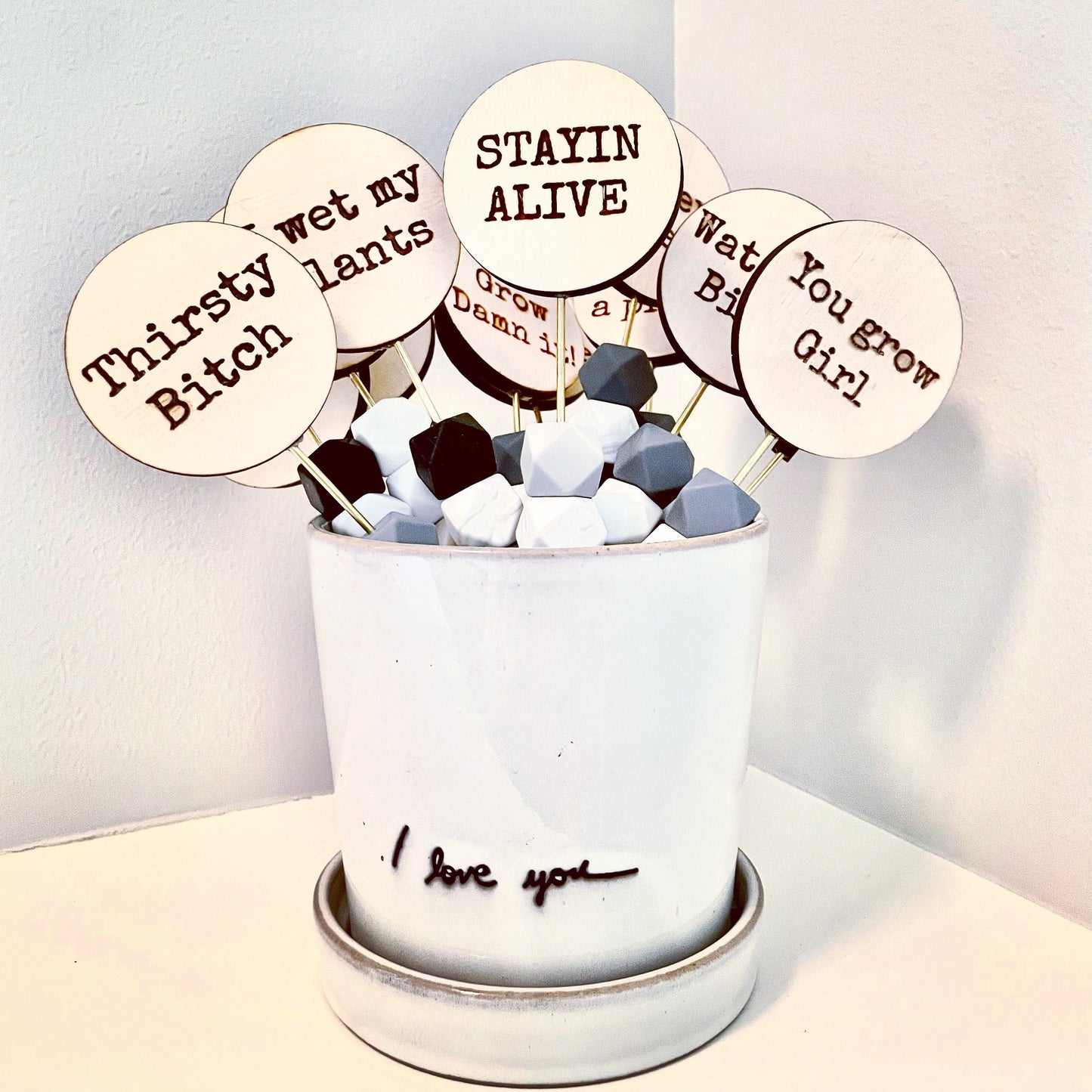 Funny Plant Signs | Plant Lover Gift | Houseplant Decor Tags with Quotes