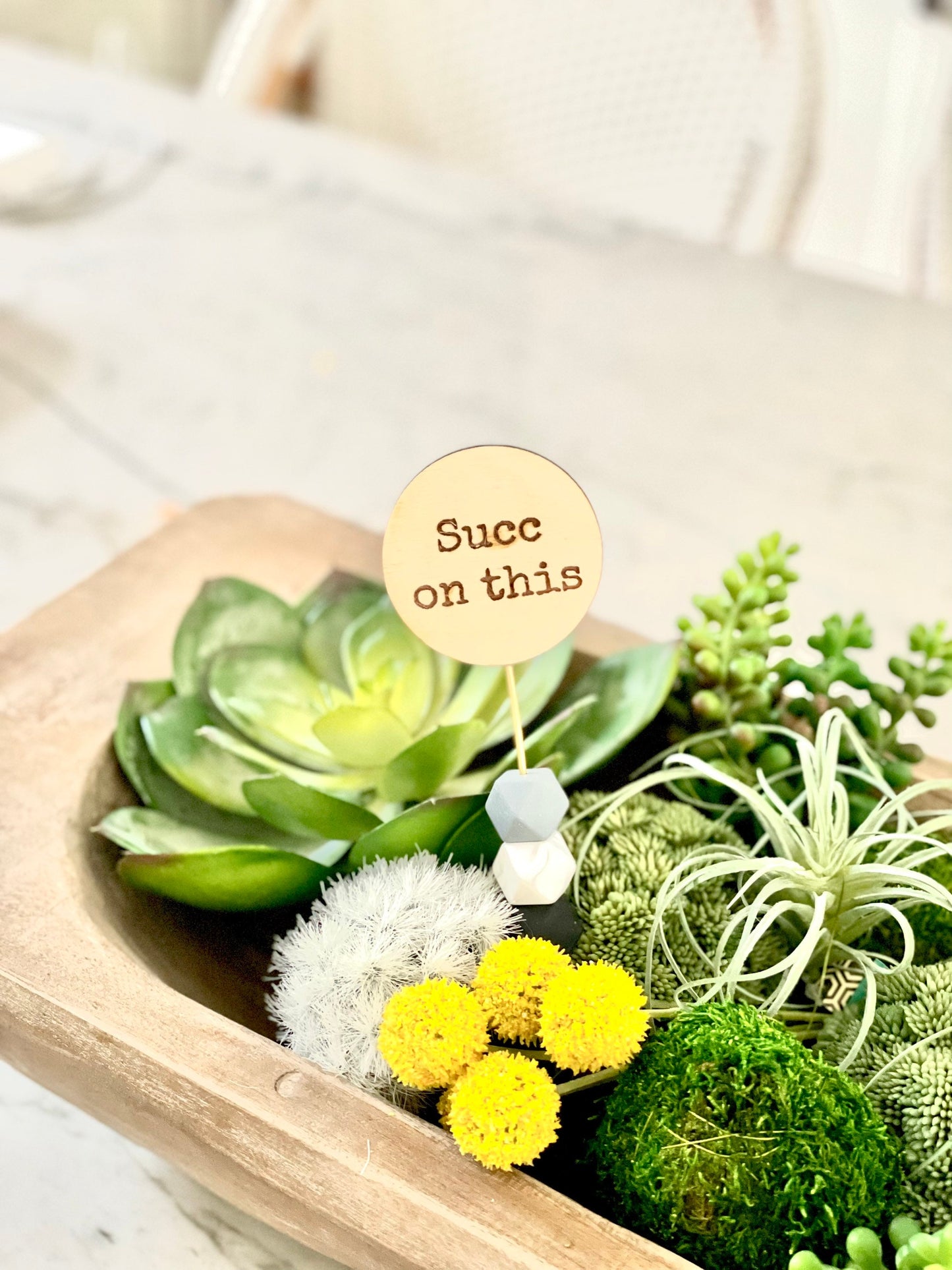 Funny Plant Signs | Plant Lover Gift | Houseplant Decor Tags with Quotes
