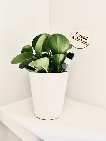 Funny Plant Signs | Plant Lover Gift | Houseplant Decor Tags with Quotes