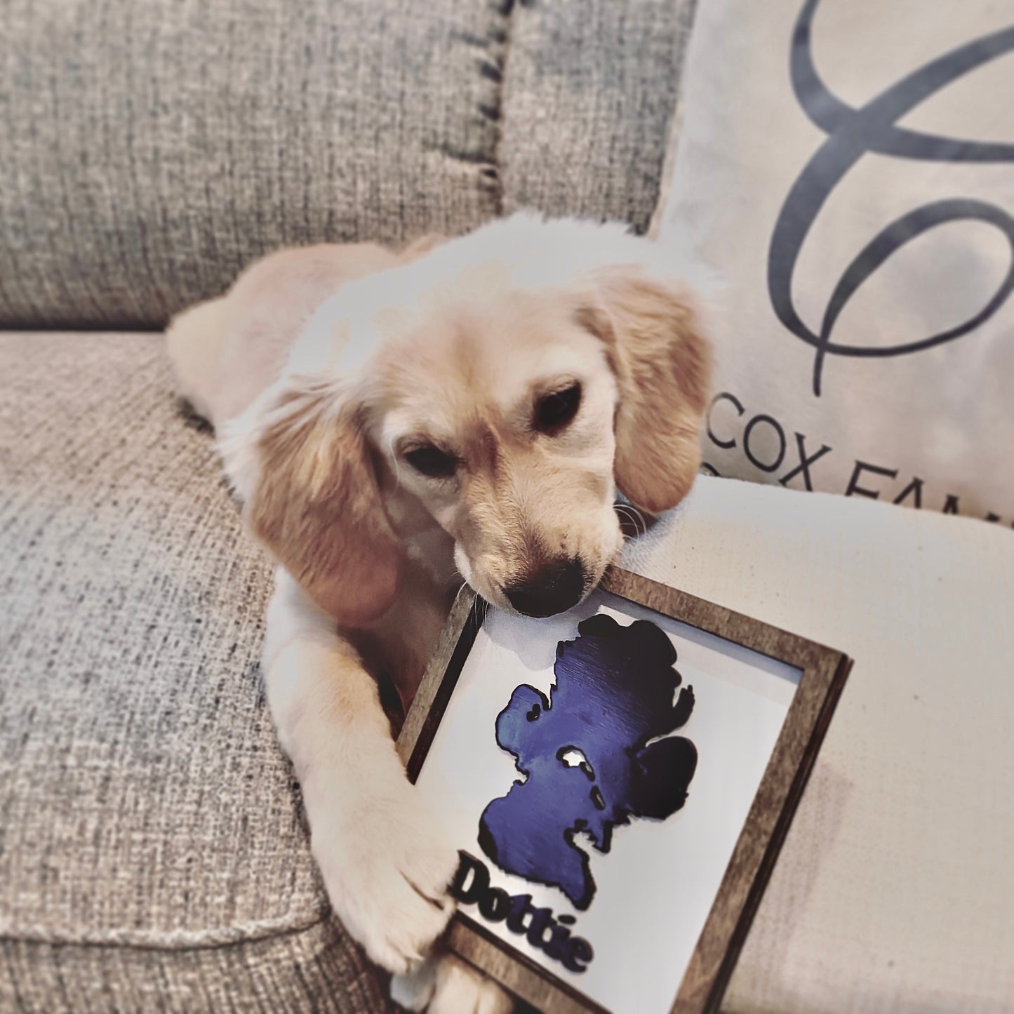 Custom Dog Paw Print Sign – Personalized Pet Paw Art with Name