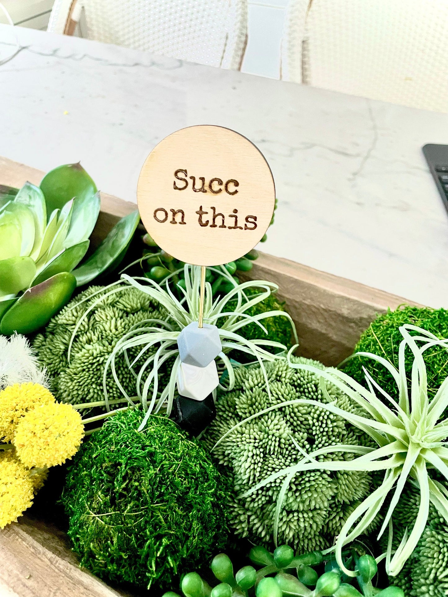 Funny Plant Signs | Plant Lover Gift | Houseplant Decor Tags with Quotes