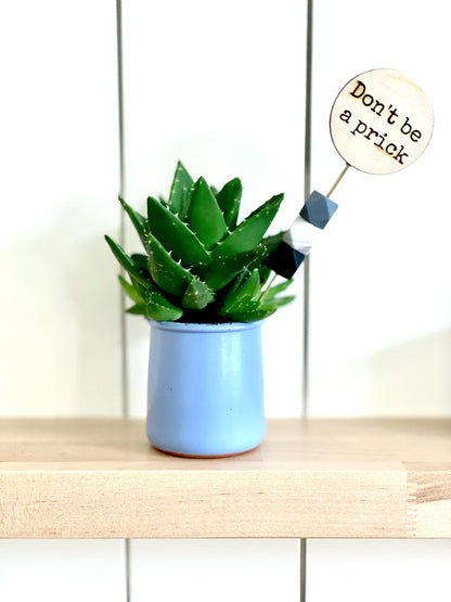 Funny Plant Signs | Plant Lover Gift | Houseplant Decor Tags with Quotes